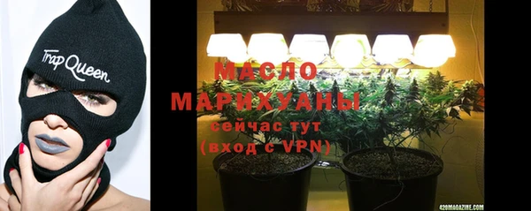 крисы Каменка