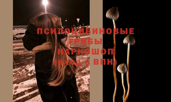 a pvp Каменногорск
