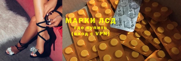 a pvp Каменногорск