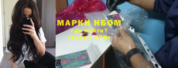 крисы Каменка