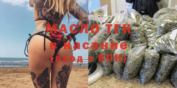 крисы Каменка