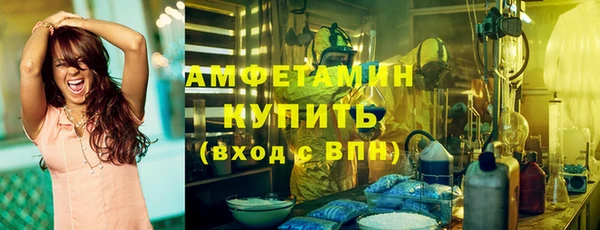 крисы Каменка