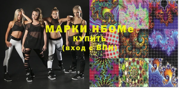 крисы Каменка