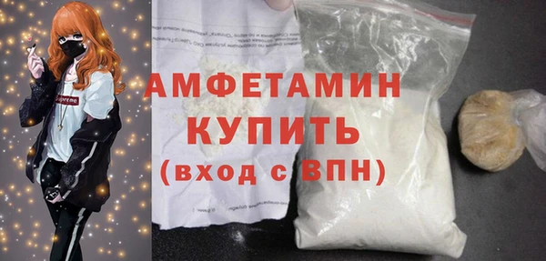 крисы Каменка