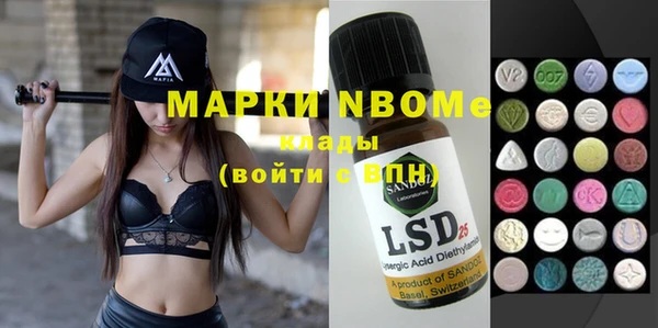 крисы Каменка