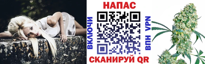 Марихуана план  Купить закладки  Данилов 